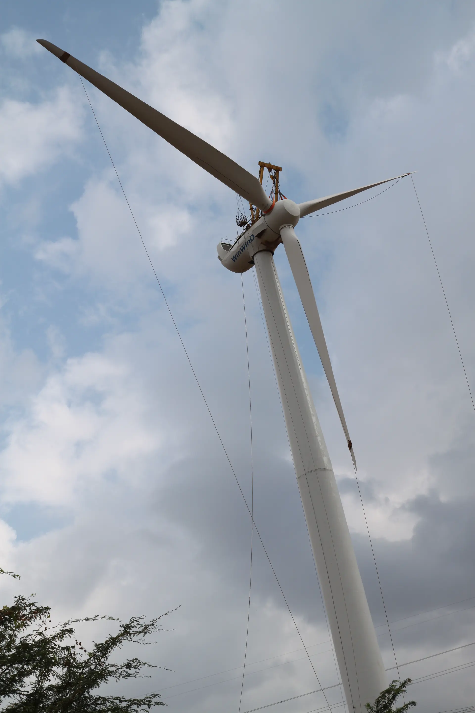 Wind Fan